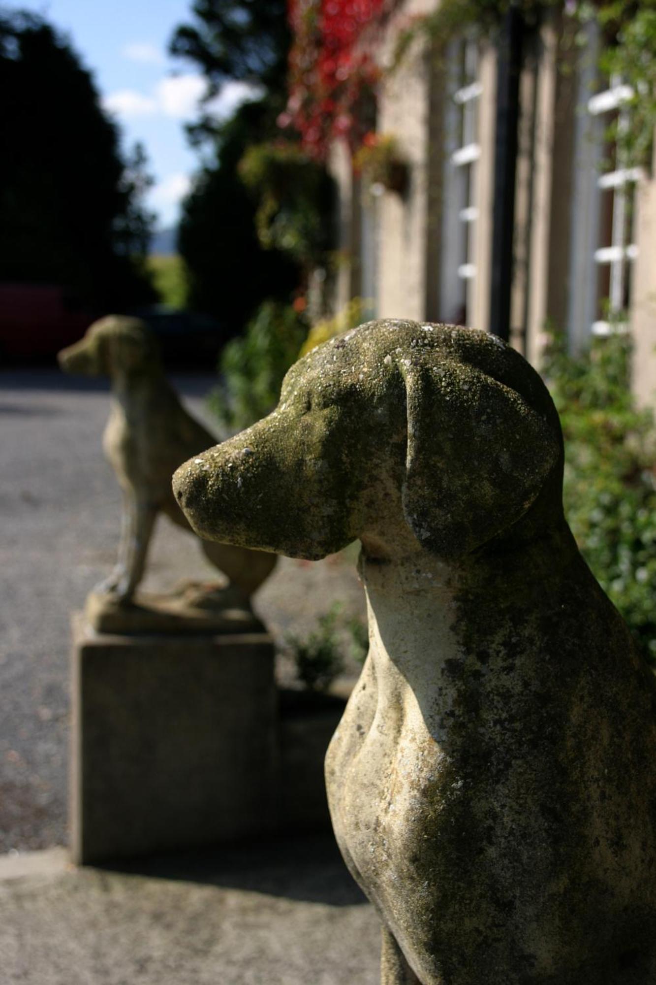 Ty Newydd Country Hotel Hirwaun Extérieur photo