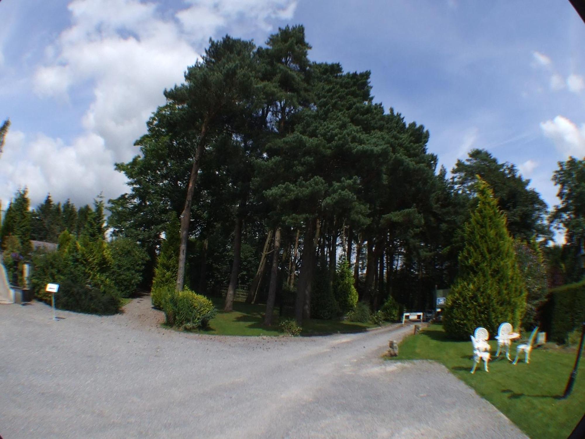 Ty Newydd Country Hotel Hirwaun Extérieur photo